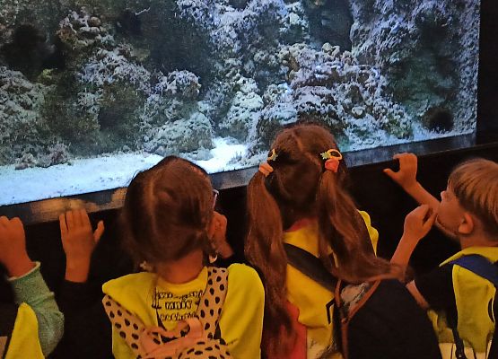 Grafika 15: Wycieczka do Akwarium Gdyńskiego