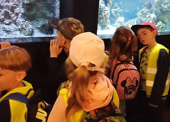 Grafika 16: Wycieczka do Akwarium Gdyńskiego