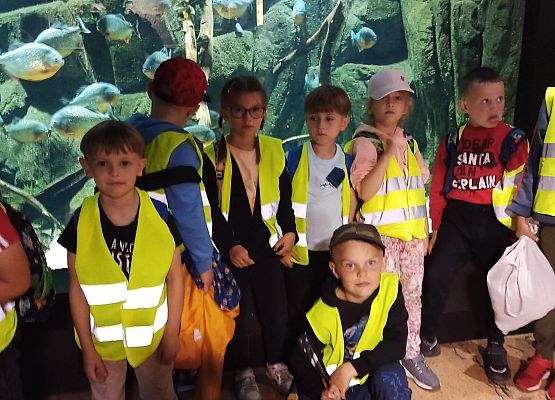 Grafika 17: Wycieczka do Akwarium Gdyńskiego