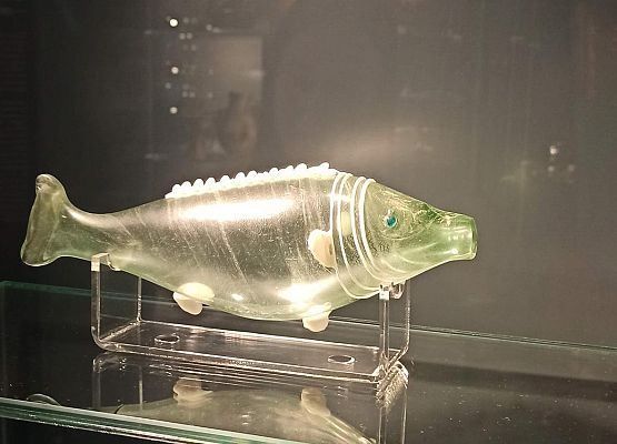 Grafika 30: Wycieczka do Muzeum w Lęborku