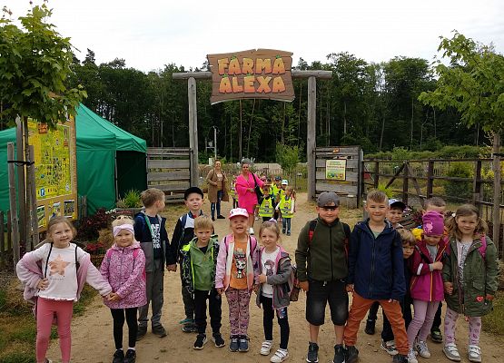 Grafika 1: NA FARMIE ALEXA