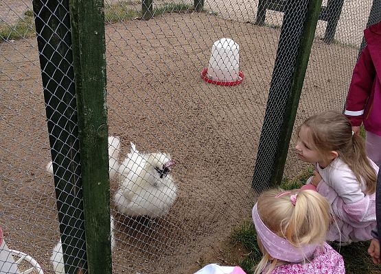 Grafika 2: NA FARMIE ALEXA