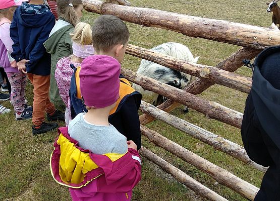 Grafika 5: NA FARMIE ALEXA