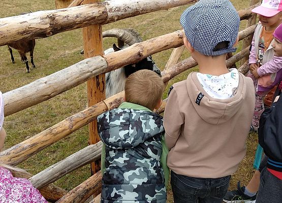 Grafika 6: NA FARMIE ALEXA