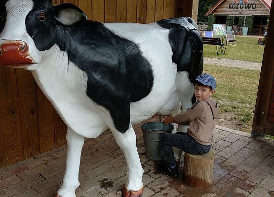 Grafika 14: NA FARMIE ALEXA