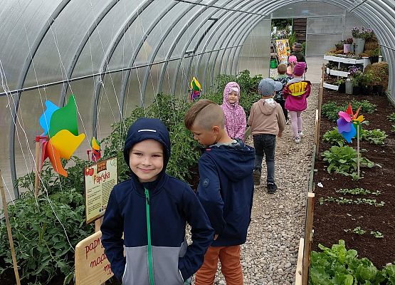 Grafika 17: NA FARMIE ALEXA