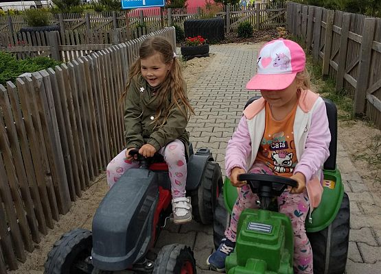 Grafika 28: NA FARMIE ALEXA