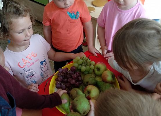 Grafika 2: OWOCOWY TYDZIEŃ