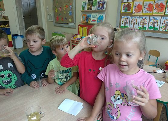 Grafika 19: OWOCOWY TYDZIEŃ