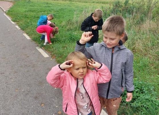 Grafika 31: DARY  JESIENI