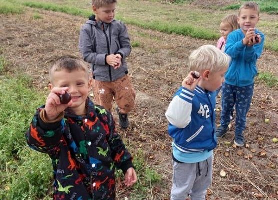 Grafika 33: DARY  JESIENI