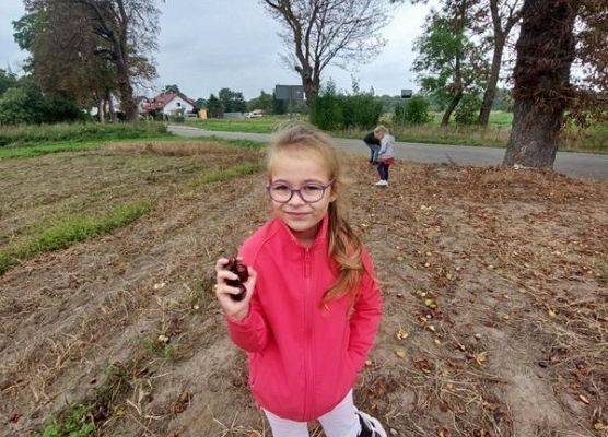 Grafika 32: DARY  JESIENI