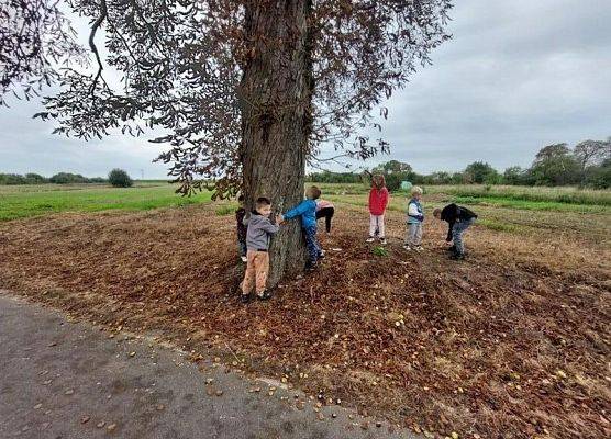 Grafika 34: DARY  JESIENI