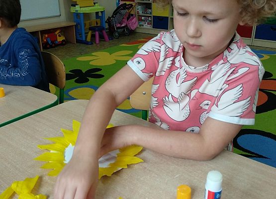 Grafika 5: GALERIA PRACUSIÓW