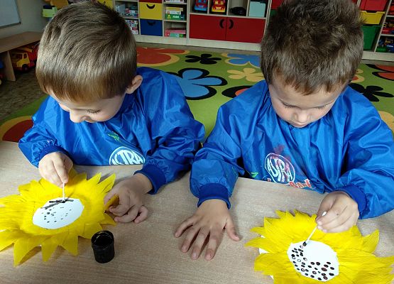 Grafika 8: GALERIA PRACUSIÓW