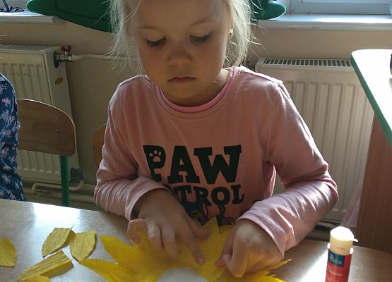 Grafika 13: GALERIA PRACUSIÓW