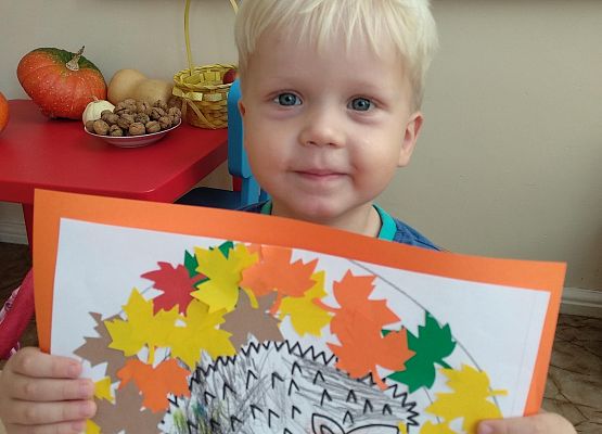 Grafika 1: GALERIA PRACUSIÓW