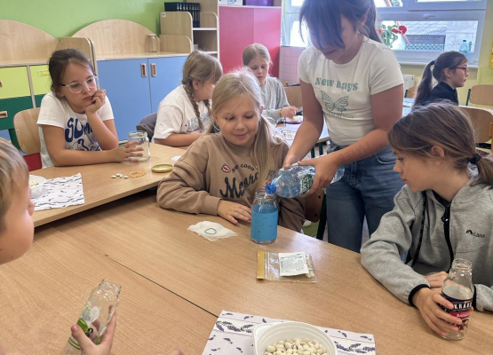 Uczniowie klasy III założyli hodowlę fasoli