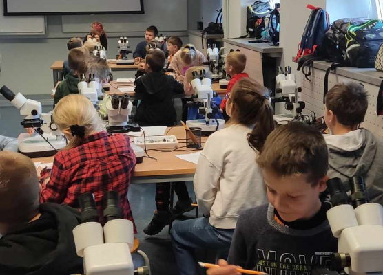 Zajęciach zorganizowanych na terenie Akwarium Gdyńskiego w ramach projektu Od Bałtyku do Atlantyku