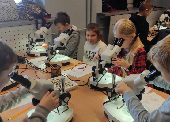 Zajęciach zorganizowanych na terenie Akwarium Gdyńskiego w ramach projektu Od Bałtyku do Atlantyku