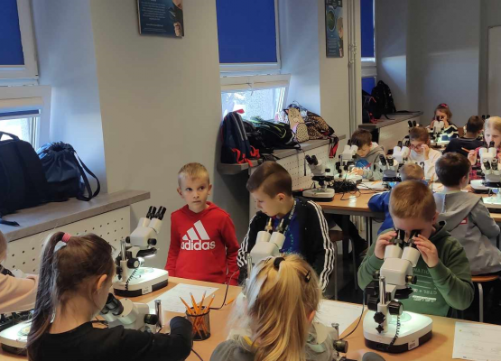 Zajęciach zorganizowanych na terenie Akwarium Gdyńskiego w ramach projektu Od Bałtyku do Atlantyku