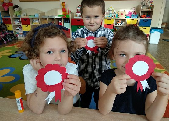 Grafika 28: MALI PATRIOCI