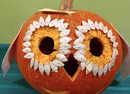 Grafika 8: Dyniowe cudaki - konkurs