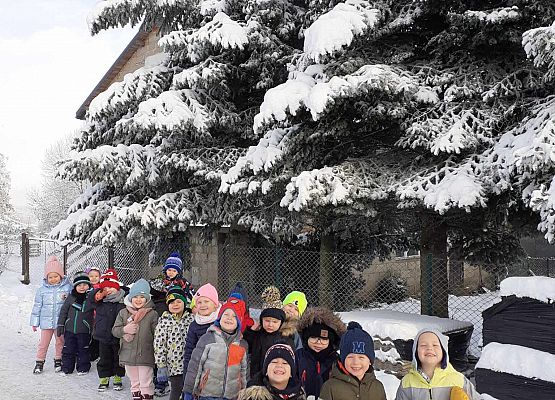 Pierwszy spacer w zimowej aurze