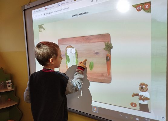 Grafika 3: Piramida zdrowia