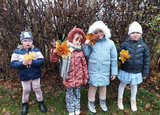 Grafika 1: Jesienne drzewa