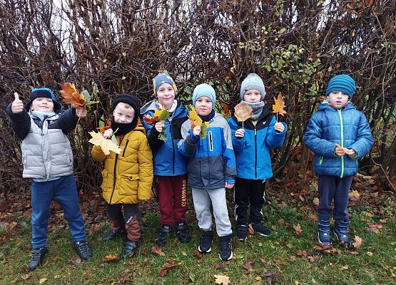 Grafika 2: Jesienne drzewa