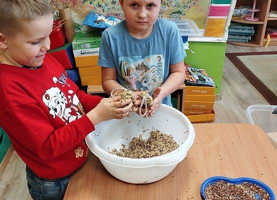 Grafika 1: Pomagamy ptakom przetrwać zimę