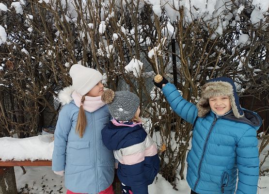 Grafika 6: Pomagamy ptakom przetrwać zimę