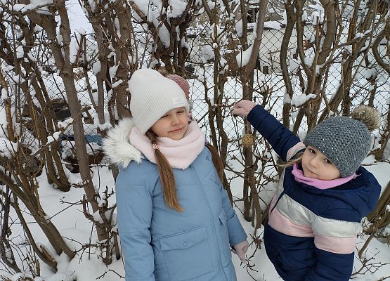 Grafika 7: Pomagamy ptakom przetrwać zimę