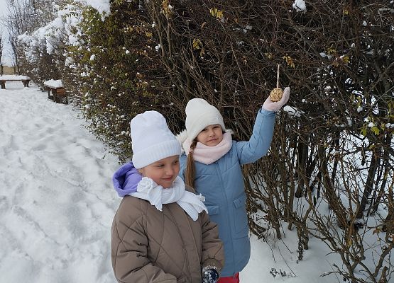 Grafika 8: Pomagamy ptakom przetrwać zimę