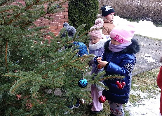 Grafika 6: WIGILIJNY CZAS