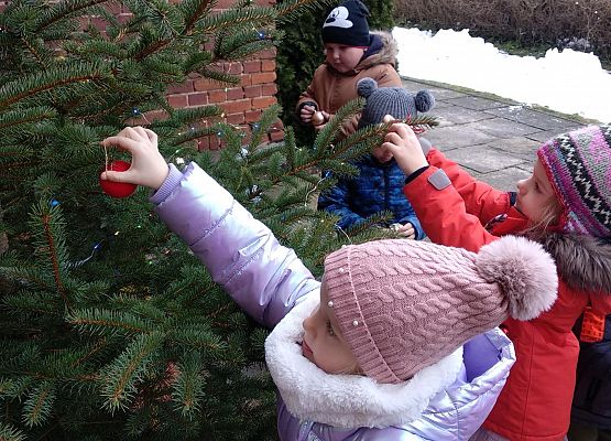 Grafika 8: WIGILIJNY CZAS