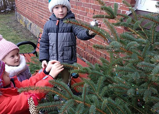 Grafika 9: WIGILIJNY CZAS