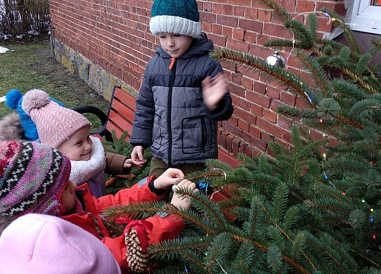 Grafika 10: WIGILIJNY CZAS