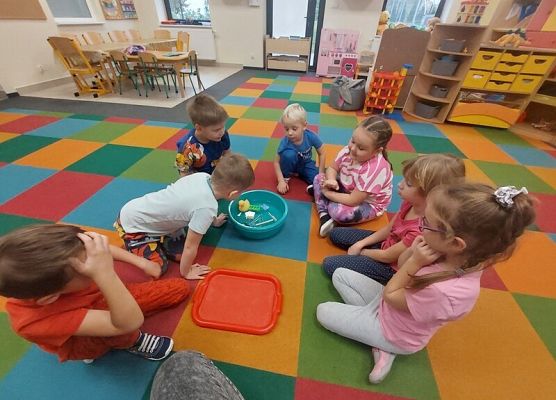 Grafika 33: EKSPERYMENTUJEMY