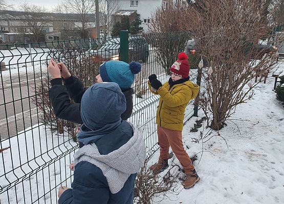 Uczniowie dokarmiają ptaki