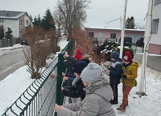 Uczniowie dokarmiają ptaki