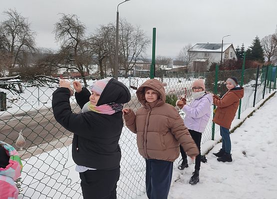 Uczniowie dokarmiają ptaki
