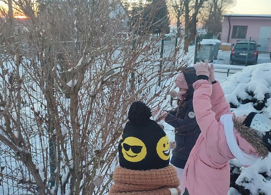 Uczniowie dokarmiają ptaki