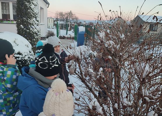 Uczniowie dokarmiają ptaki