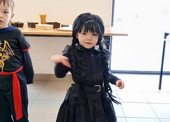 Bal karnawałowy w Janowicach