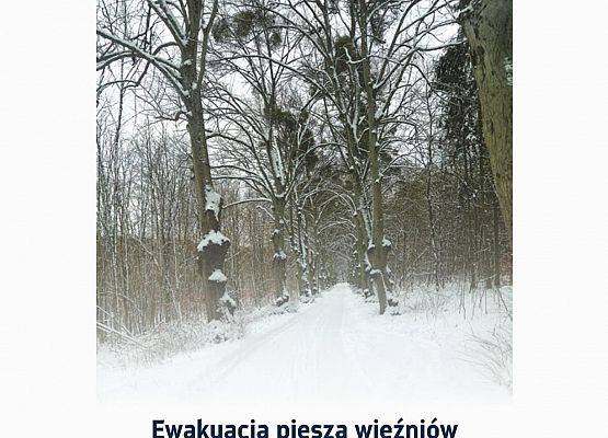 Spotkanie pokoleń i promocja książki p.Janiny Grabowskiej "Marsz Śmierci" w szkole w Garczegorzu.