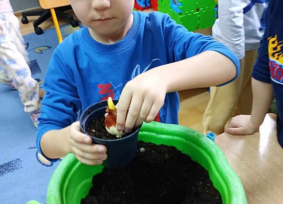 Starszaki przy pracy