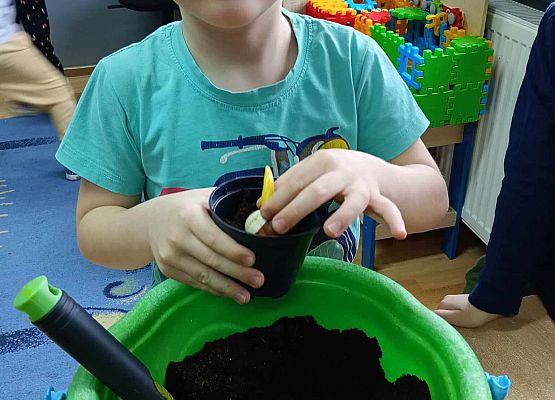 Starszaki przy pracy