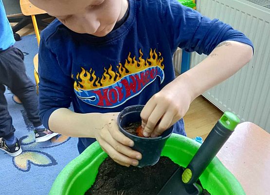 Starszaki przy pracy